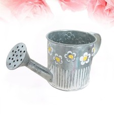 Long Lasting Rust Proof Iron Vase Multi Color Bucket Style Flower Pot