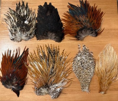 Vintage Fly Tying Feather Lot - 7 Hackle Capes Necks Rooster Hen Natural #2