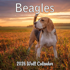 2026 Beagles Monthly Wall Calendar  Cute Dog Calendar September 2025 - December