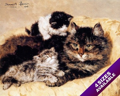 COMFY COZY CUTE CATS CUDDLING KITTEN PET ANIMAL ART PAINTING REAL CANVAS PRINT