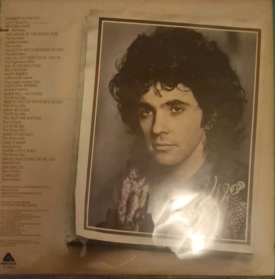 Stardust - Original Movie Soundtrack Double Vinyl LP - 1975 - Arista AL 5000 - Image 2 of 2