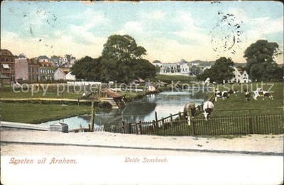 Arnhem Willow Sonsbeek Cows