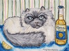 Himalayan Drinking Corona Beer Original Pastel Painting 9x12 Cat Pop Art Ksams