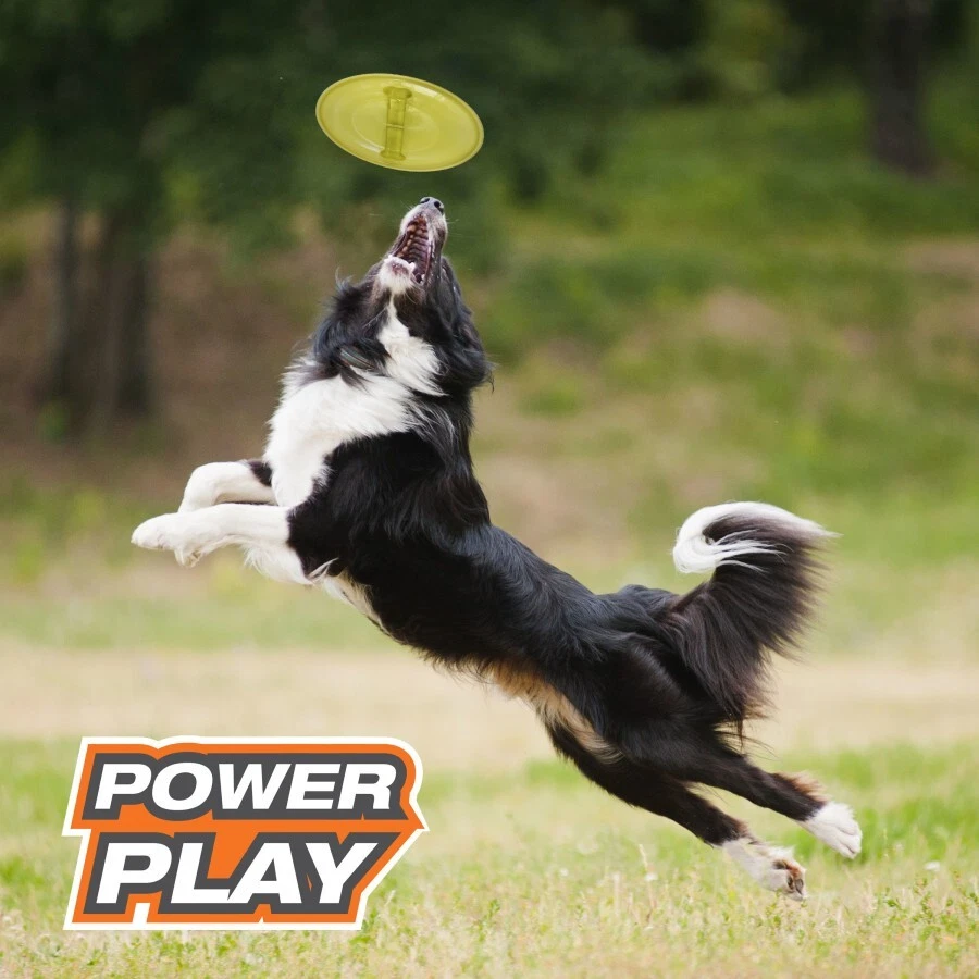 Nylabone Power Play Ultra Glider Gripz Flying Disc Dog Toy, Large - Image 3 of 4
