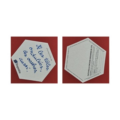 Hoegaarden Li les tölez... brewery beer mat beer