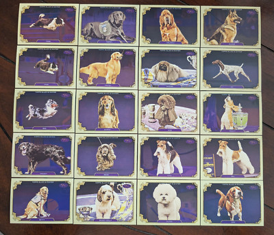2024 Topps Allen & Ginter Stars Of the Show/Westminster singles you pick choice