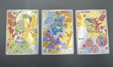 Pokémon 1st Partner Illustration Vol 2 Chiko...
