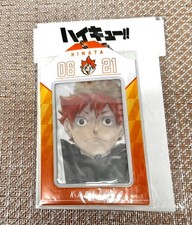 ¡¡Haikyuu!! Llavero tarjeta cumpleaños Hinata Shoyo 2 diseños sin usar, en caja