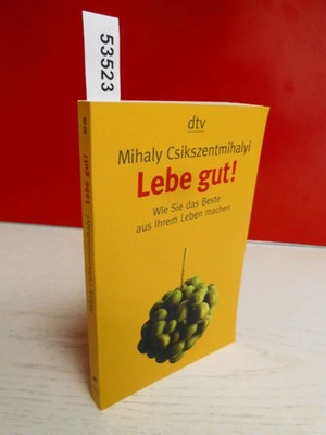 dtv Lebe gut! Mihaly Csikszentmihalyi Persönlichkeitsentwicklung Achtsamkeit