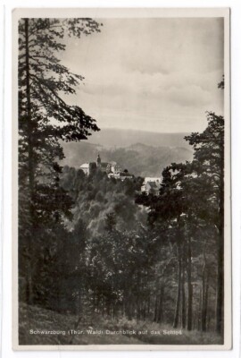 2208 Schwarzburg view of the castle