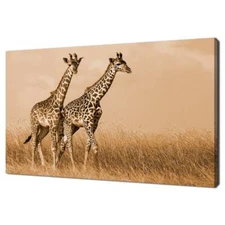 Giraffe Couple Walking In The Grass Field Wall Art Canvas Unframed Print Art
