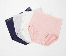 Breezies Womens Set of 4 Nylon Microfiber Brief Panty Solid Sterling Medium Size