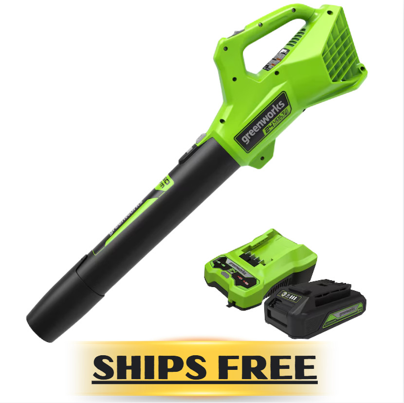 Greenworks 24-Volt Lithium-Ion Cordless Leaf Blower-2Ah Batt