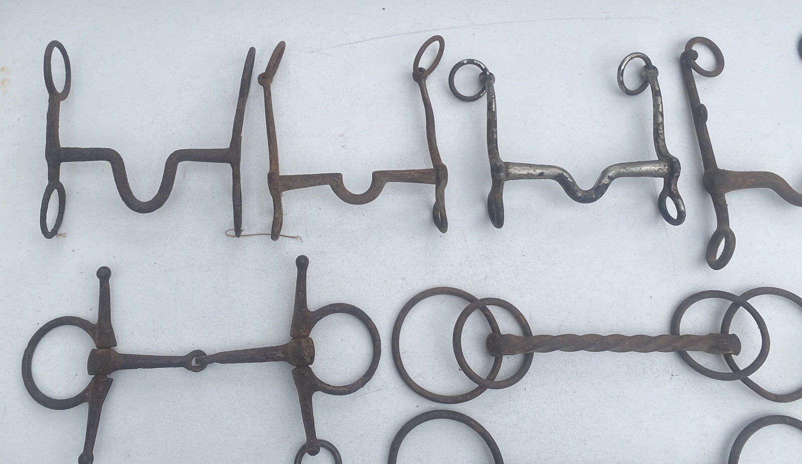 BIT COLLECTION Lot of Vintage & Antique Horse Bits eBay