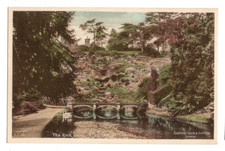 Alton Towers Rock Gardens Staffordshire Raphael Tuck 1920s Vintage Postcard