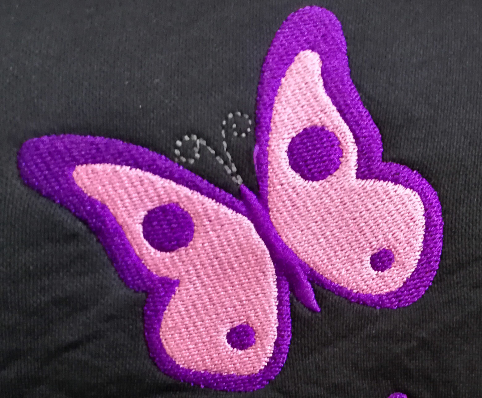 Picture 3 of 6