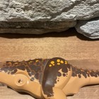 Foto 14 di 14