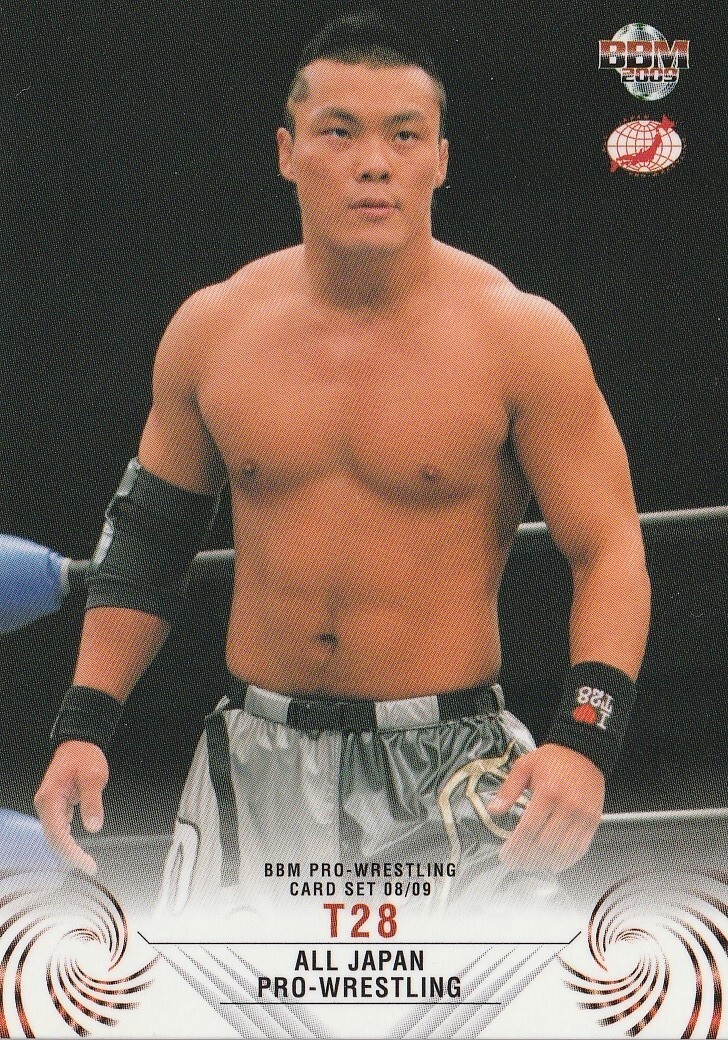 ECWプロレスカード ピットブルズ　BBM ECWプロレスカード ピットブルズ BBM ECWプロレスカード