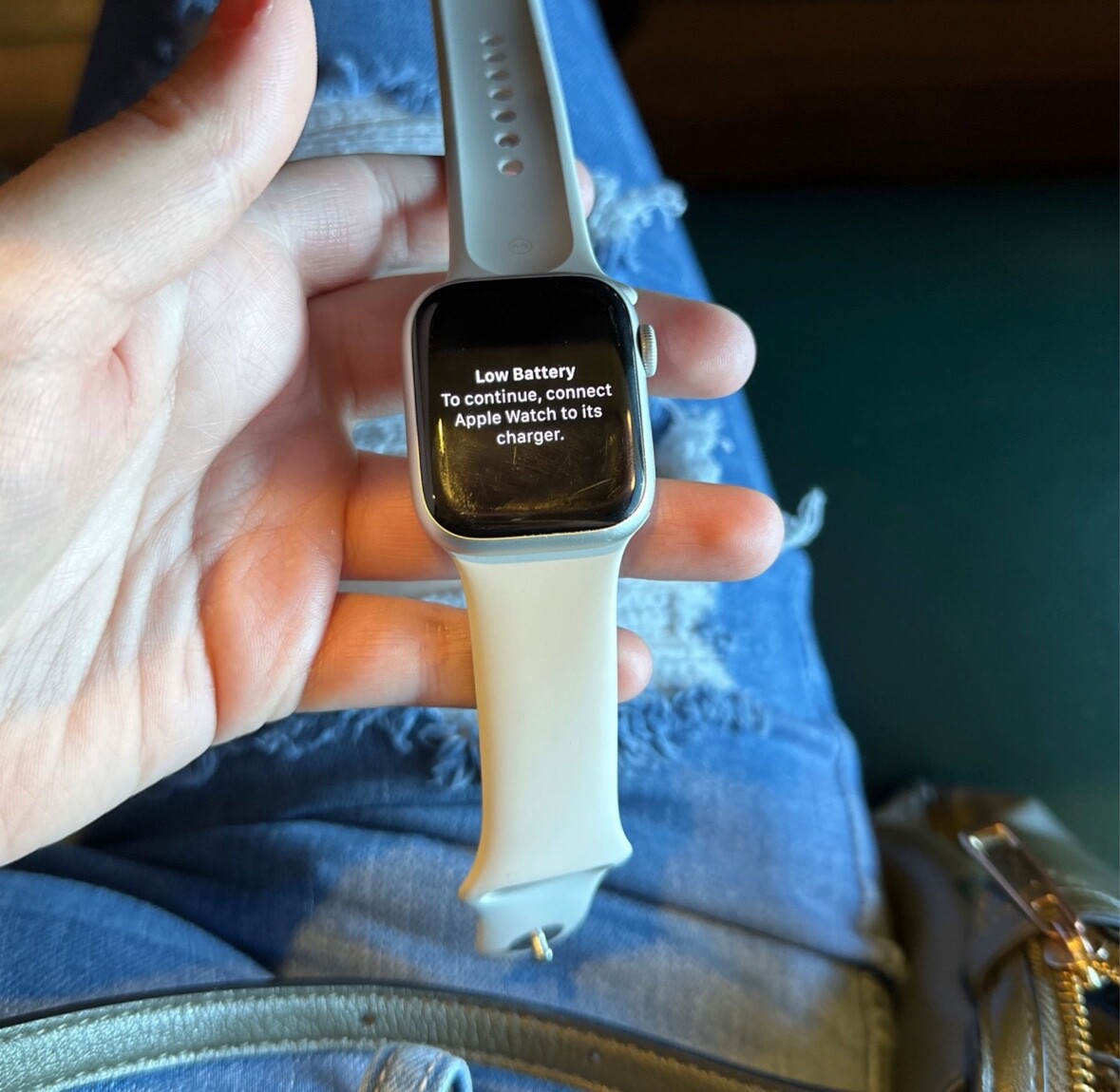 Apple Watch Series 7 41mm Aluminum Case with Sport Band 