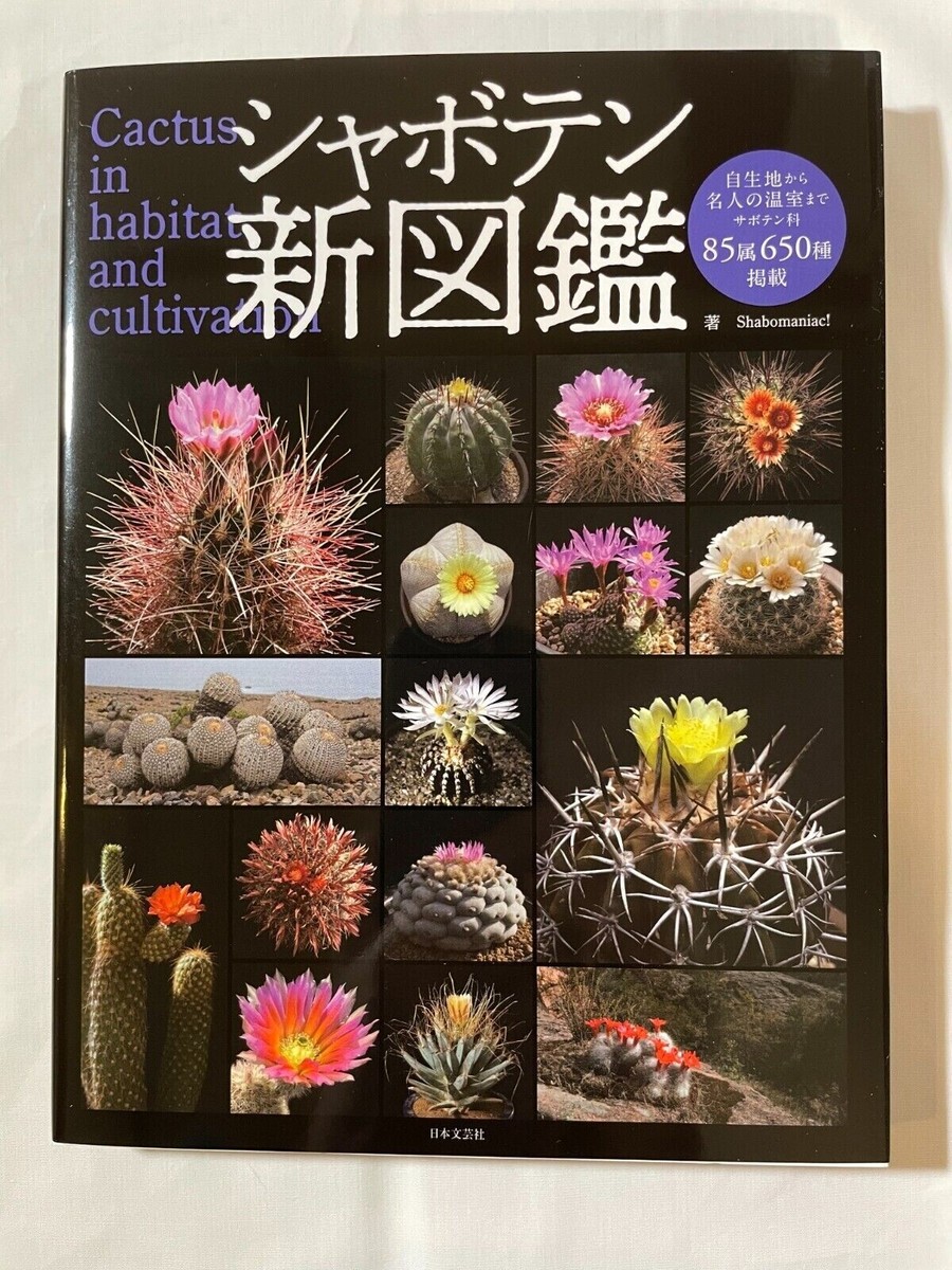 Cactus In Habitat and Cultivation Photo Guide Succulent Plant japan | eBay