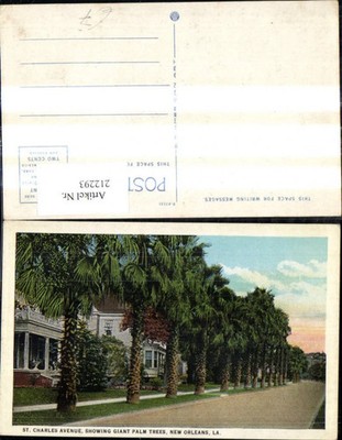 212293,Louisiana New Orleans St Charles Avenue Showing Giant Palm Trees