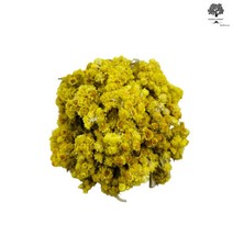 Dried Helichrysum Immortelle Everlasting Flowers 220g Premium Quality