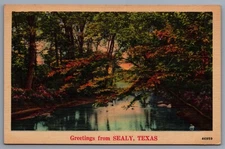 Greetings from Sealy Texas TX Linen Postcard G12