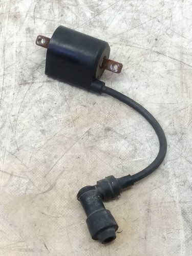 BOBINA ACCENSIONE PER YAMAHA YP 250 MAJESTY 1 SERIE (e45766) - Imagen 2 de 2