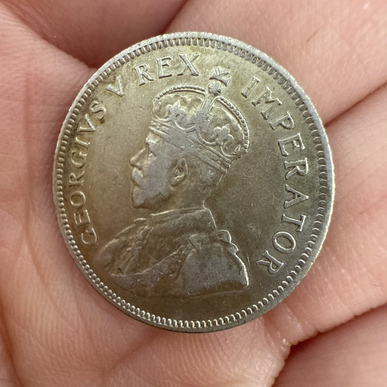 Monnaie 1 Shilling South Africa 1924 Zuid Africa Georgius V Rex Imperator