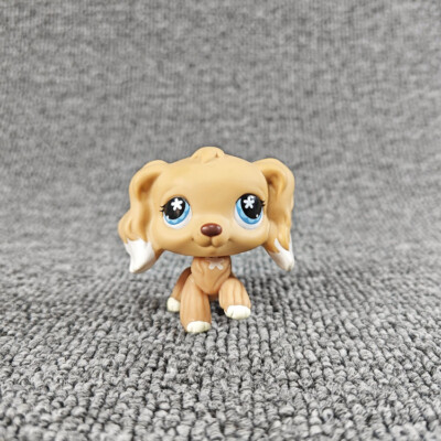 #568 Rare Littlest Pet Shop Brown Cocker Spaniel Dog Flower Eyes
