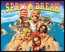 Gottlieb Spring Break Pinball Machine Translite  Awesome ARTWORK CUSTOM 01