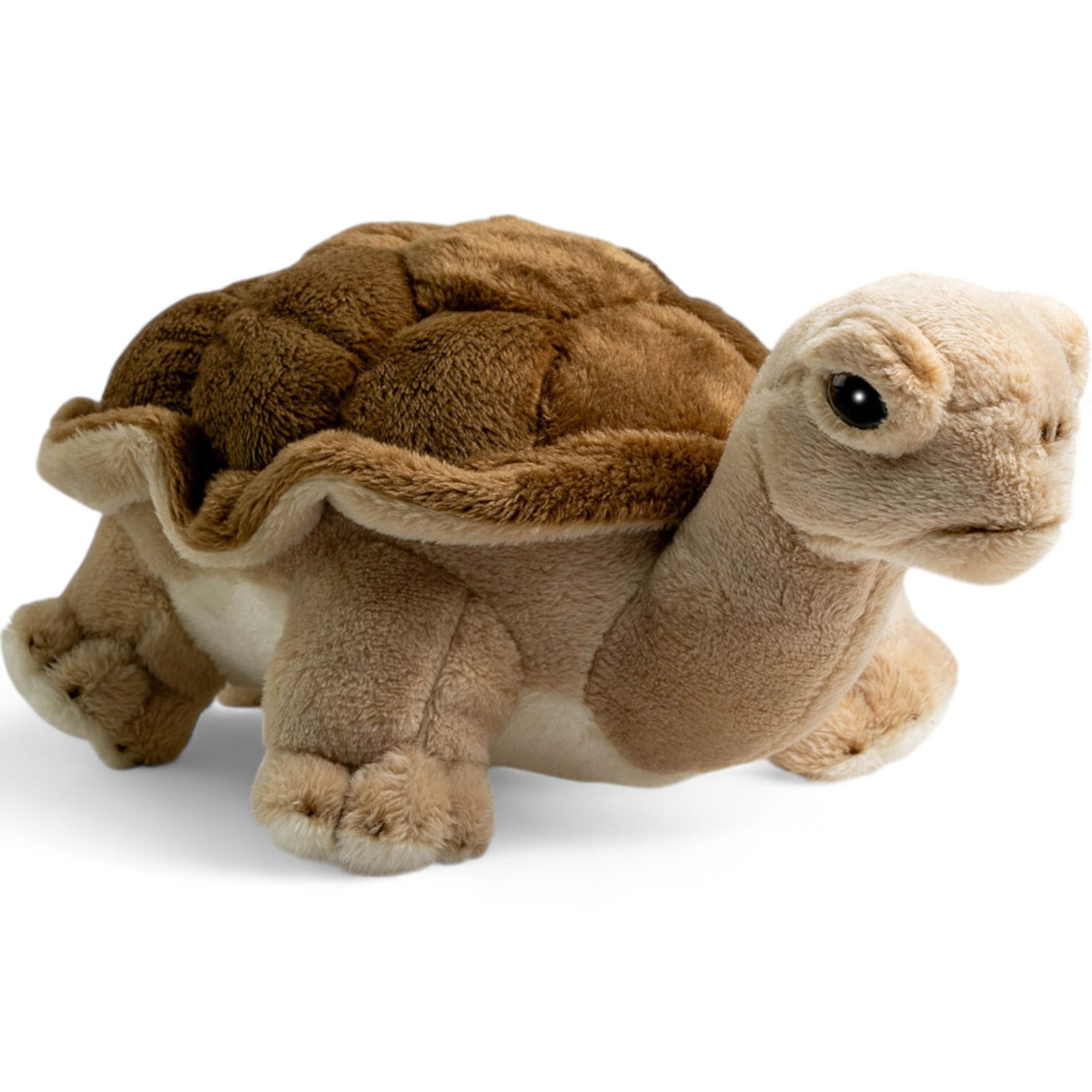 Carl Dick Turtle, tortoise, Soft Toy, Cuddly Toy
