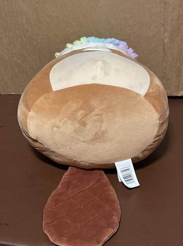 Squishmallow Bristol Il Castoro 12" - Foto 4 di 6