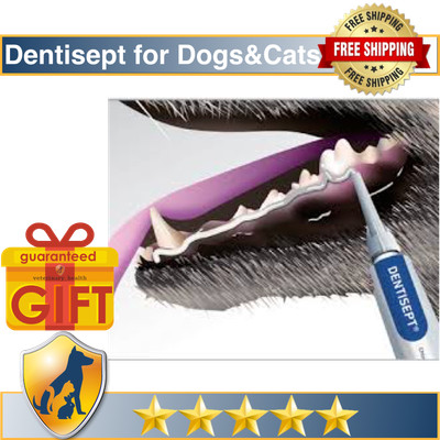 dentisept toothpaste for dogs