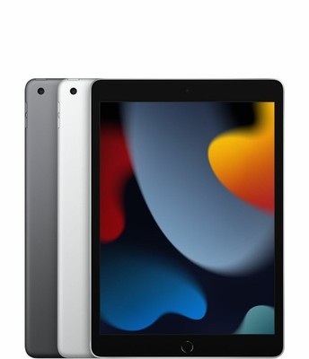 Apple iPad 9th Gen 64GB 256GB WiFi Cellular (Good)