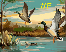 Beautiful Wild Ducks Hand Painted Design - Printed Needlepoint Canvas DK60