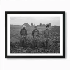 Untitled Photo, Possibly Related To Framed Wall Art Poster Canvas Print Picture