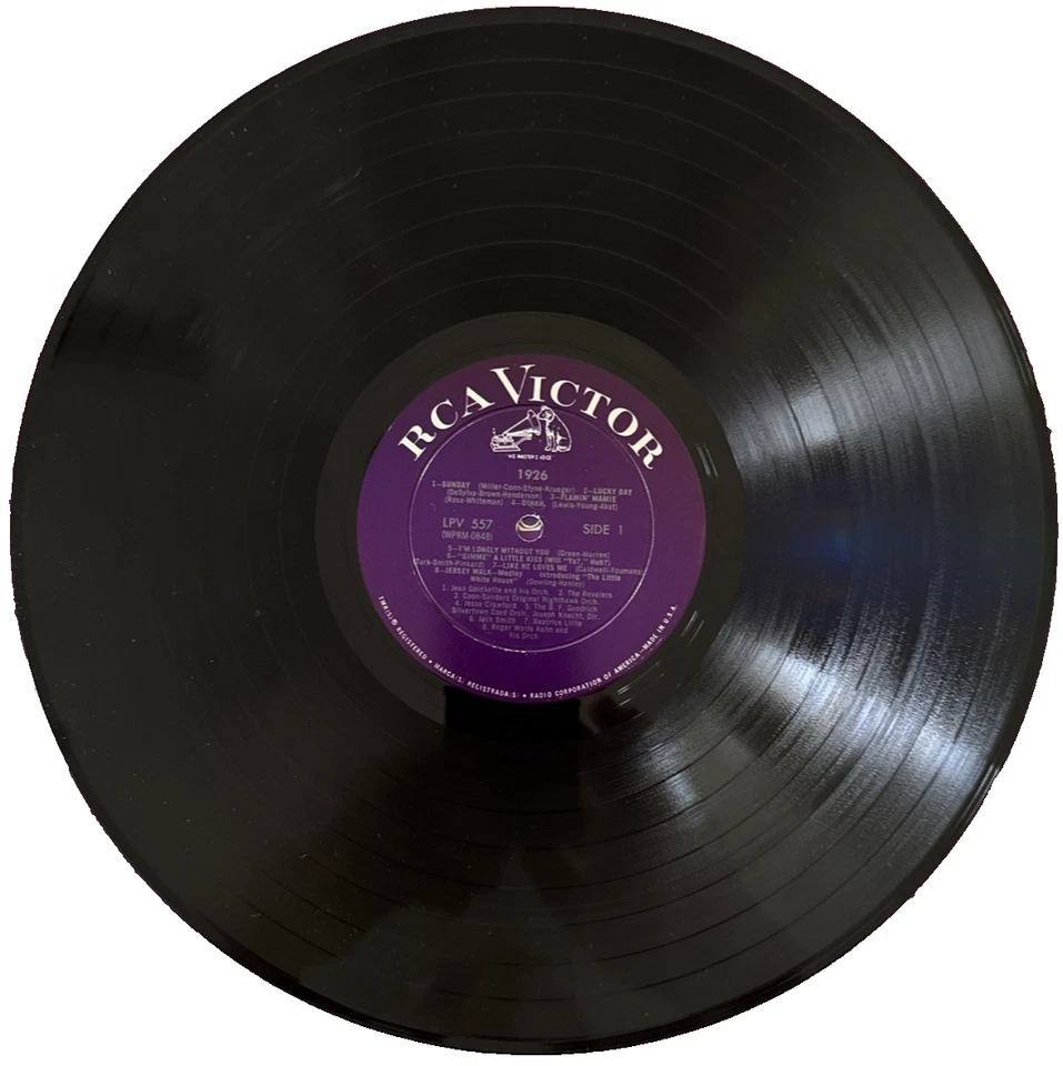 PAUL WHITEMAN & Others - 1926 ~ RCA 557 w/Jesse Crawford, Revelers, others Vinyl - Image 3 of 4