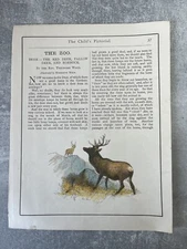 The Zoo - Deer, Elk, Reindeer - 1890 Bookplate Art Illustration by Harrison Weir