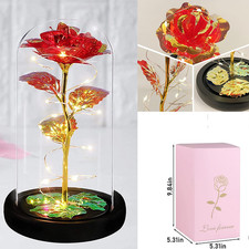 Eternal Forever Rose Flower In Glass Dome LED Light Valentine's Day Gift for Her