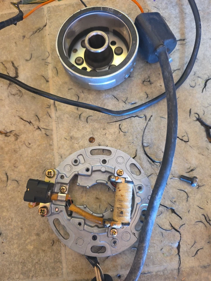 Kawasaki KX80 KX85 KX100 KX 80 100 2004 estator rotor magnético volante bobina Foto 2 de 4