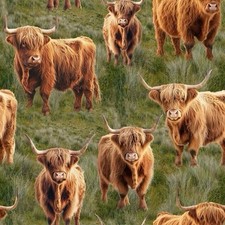 Fat Quarter KK Fabrics Homestead Bovines Highland Cow Grazing 100% Cotton Fabric
