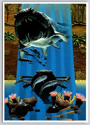 Postcard Devonian Period Marine Life Hemicyclaspis Ptertygotus Eurypterid Paleo