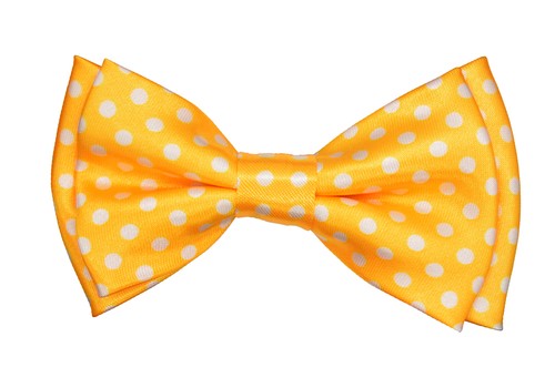 CUTE Baby Toddler Kids Boys Girls Polka dot Y-Back Elastic Suspender & Bow Tie  - Picture 7 of 40