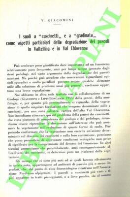 GIACOMINI V. - I suoli a  cuscinetti  e a  gradinata  come aspetti particolari