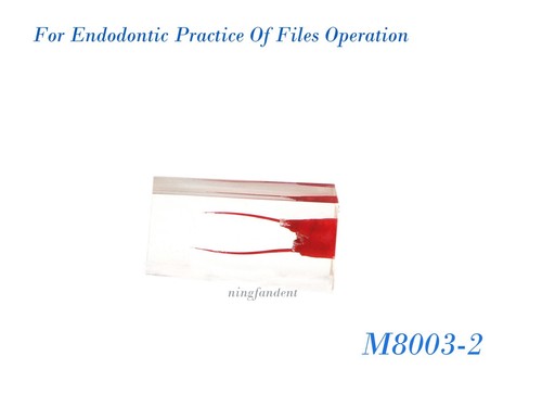 Modelo de dientes ECA dental, bloque de práctica de raíz endodóntica estudio de cavidad pulpar roja - Imagen 6 de 41