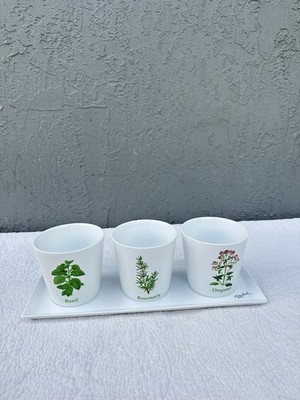 Rachel Allen Tippearary Ceramic Herb Pots Set Basil Rosemary Oregano Tray New