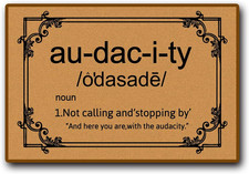Accssoey Funny Front Door Mat, Welcome Doormats, Audacity Door Mat Non-Slip Outd