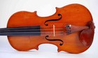 old unique italian violin labeled Testore 1731 geige violine violino viool viola — photo 9