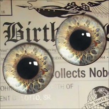 Glass Zombie Eyes Realistic Monster Taxidermy Doll Eyeball 12mm Set